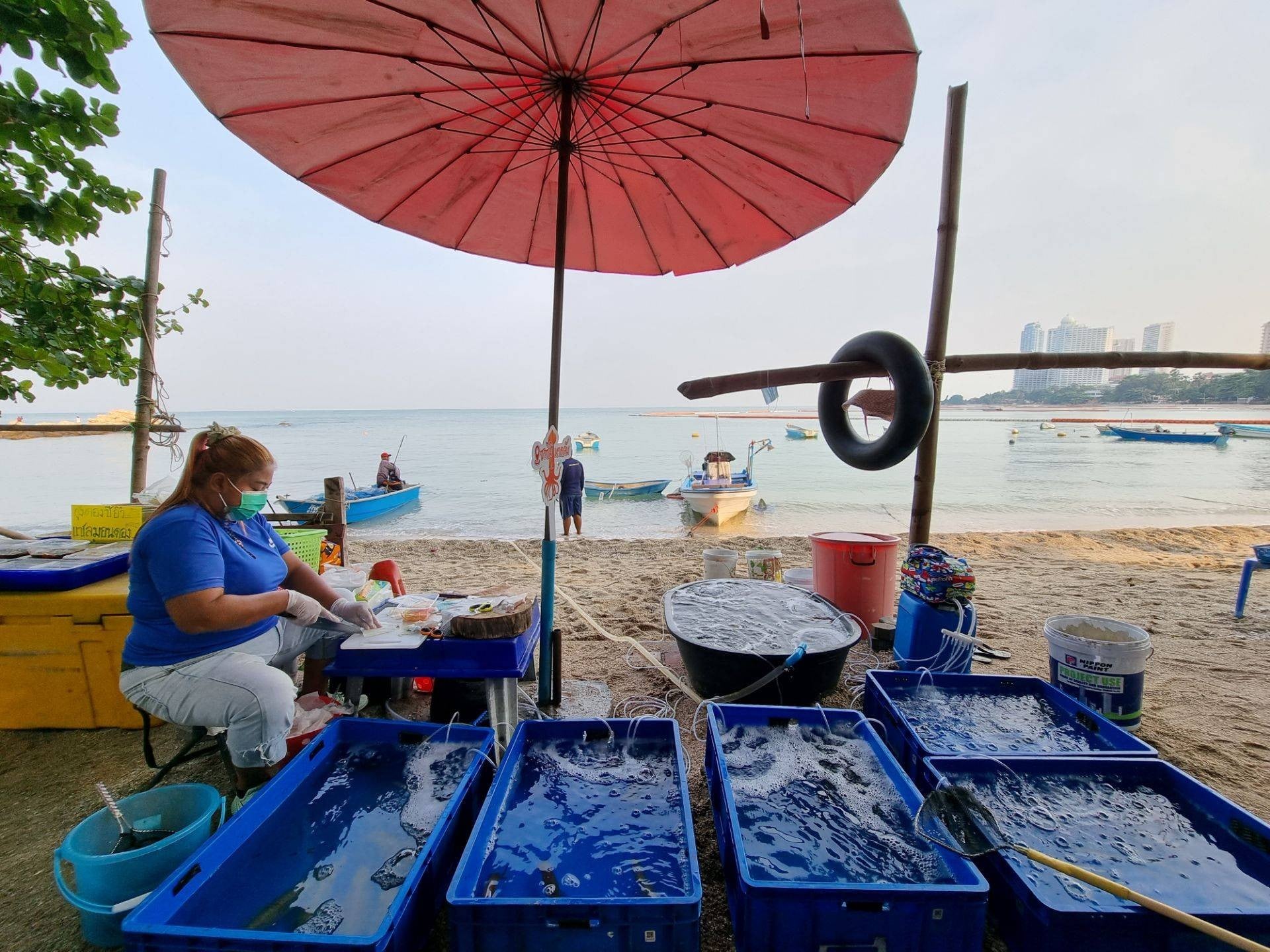 神秘海滩刺身(Naklua 18 巷) 参考图 1